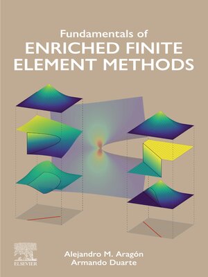 cover image of Fundamentals of Enriched Finite Element Methods